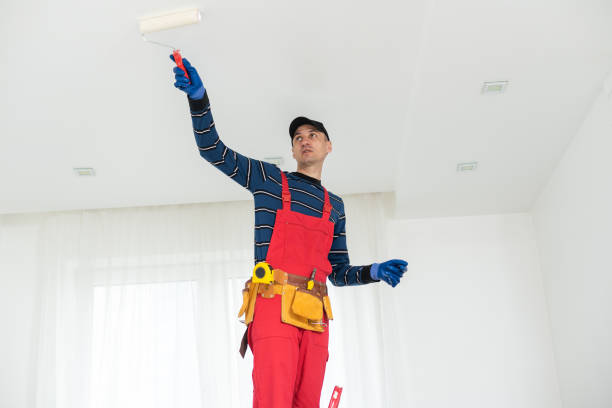 Professional Painting & Drywall Services in Fairmead, CA